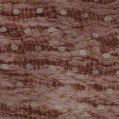 Chiniya silk bandhej with shibori and handwoven golden Banarasi butti - Peach brown/ Banarasi Bandhej 