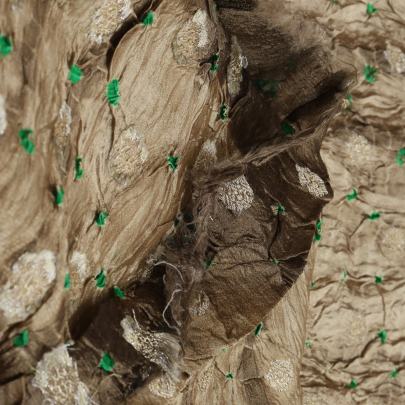 Chiniya silk bandhej with shibori and handwoven golden Banarasi butti - Beiege/ Banarasi Bandhej 